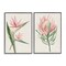 Stupell Industries Tropical Grace Botanicals 2 Piece Black Framed Giclee Art Set, design by Hannah Dawson